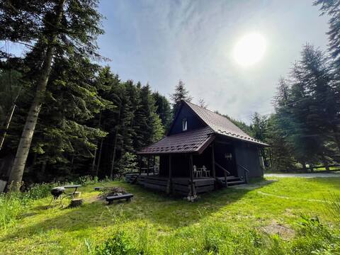 Piwniczna 187 - Vintage House /tub, river, forest/