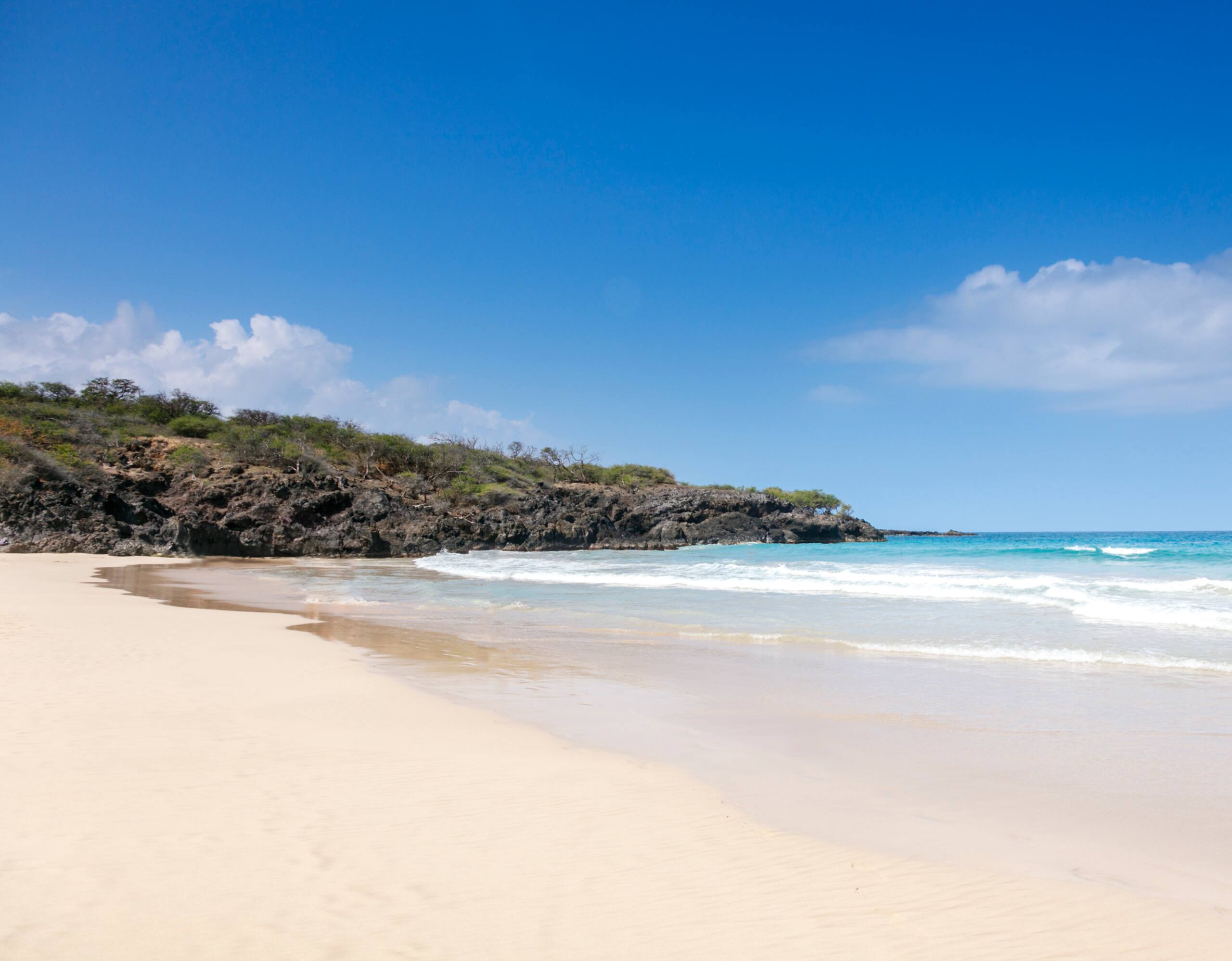 Condo in Waimea · ★4.89 · 2 bedrooms · 3 beds · 2.5 baths - Image 56