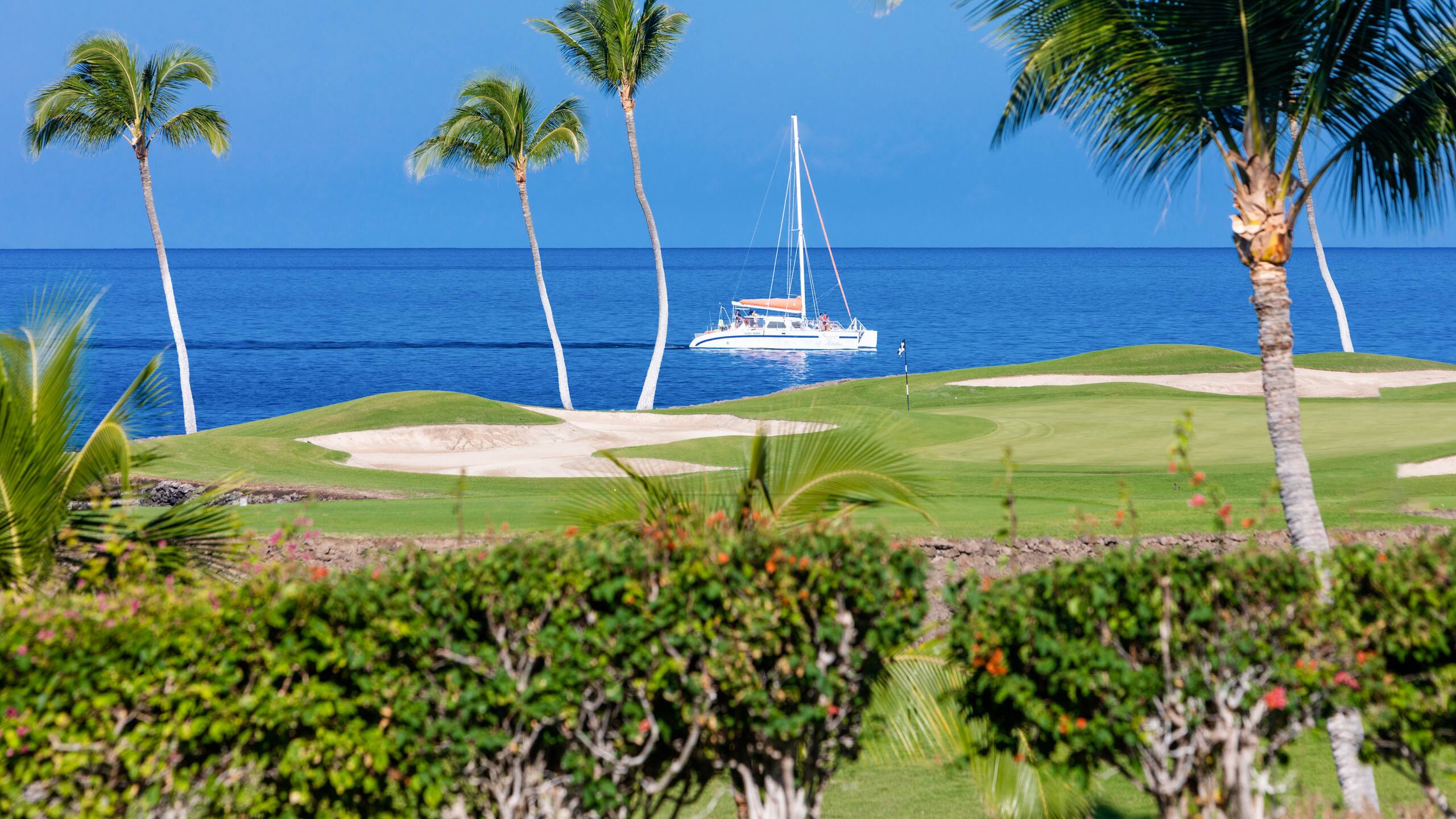 Condo in Waimea · ★4.89 · 2 bedrooms · 3 beds · 2.5 baths - Image 51