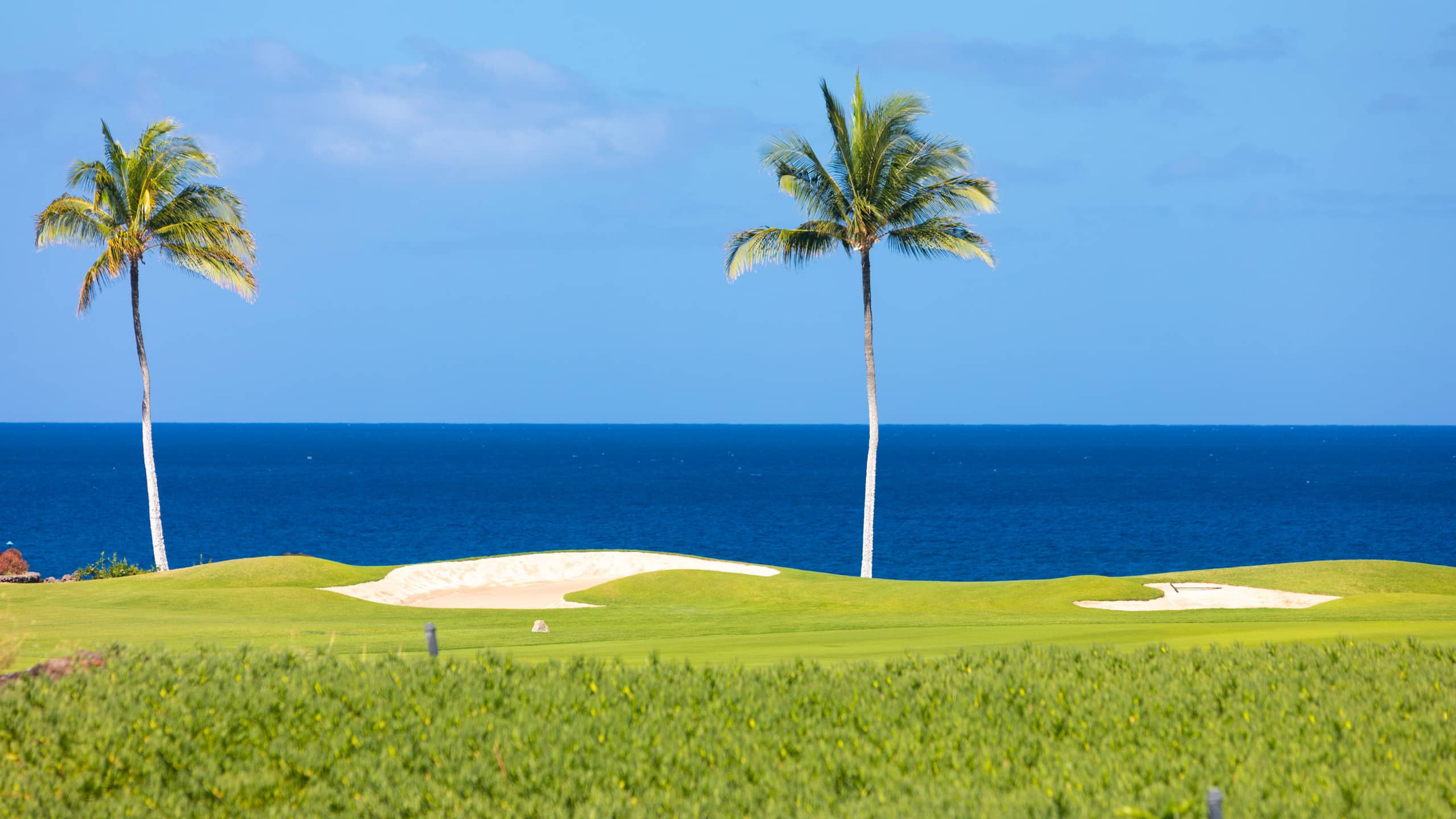 Condo in Waimea · ★4.89 · 2 bedrooms · 3 beds · 2.5 baths - Image 50