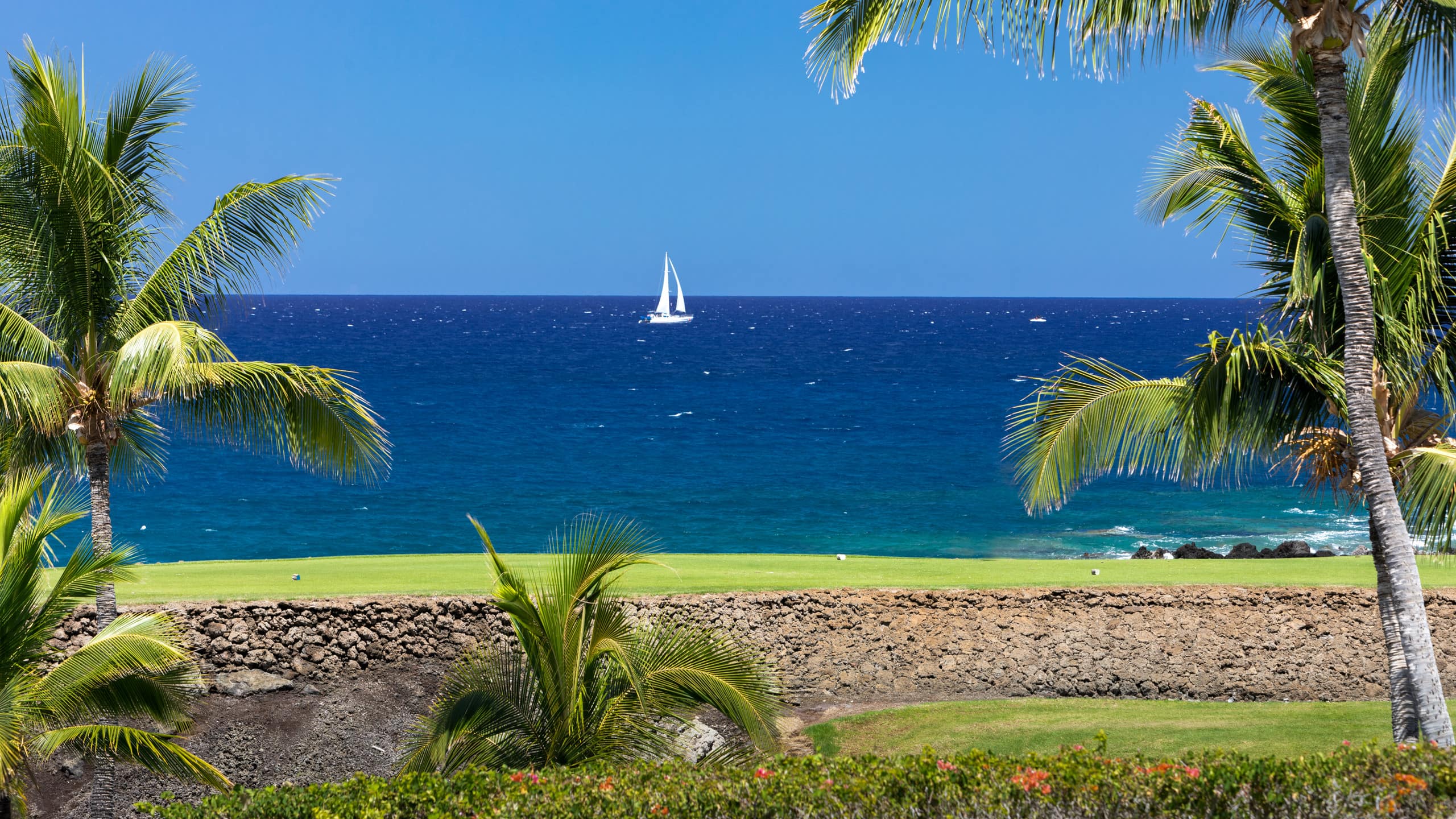 Condo in Waimea · ★4.89 · 2 bedrooms · 3 beds · 2.5 baths - Image 40
