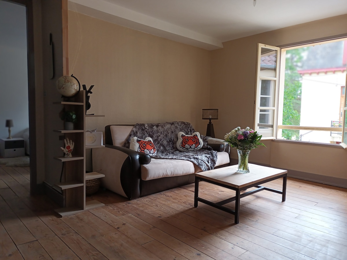 Top performing Airbnb: Charming quiet apartment in Salies De Béarn