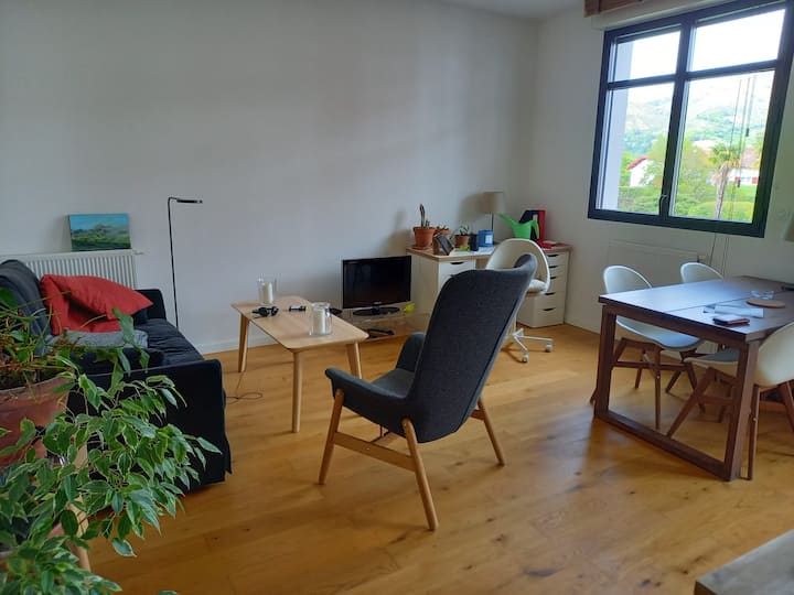 Appartement Au Centre De Sare - Sare