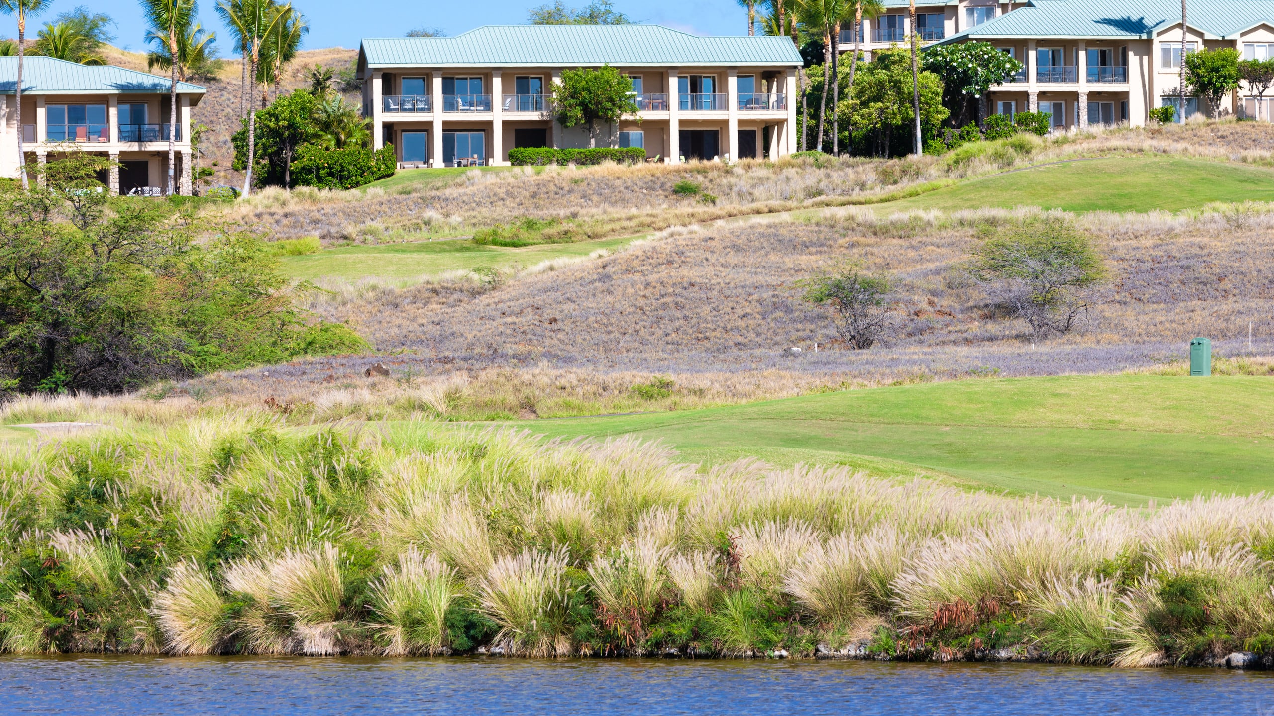 PiH: MaunaKea Palms~ Near Stunning MaunaKea Resort - Photo 20