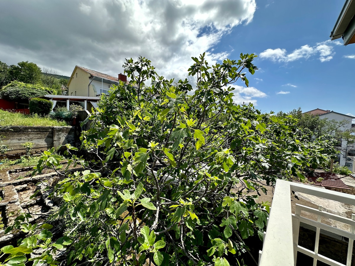 Apartment Adriatic Dream 1