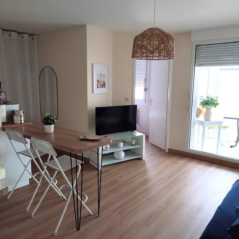Successful Airbnb property: 180° Panoramic view OCEAN FACING in Bray Dunes