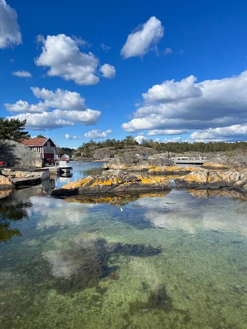 Vista house - Holmesund