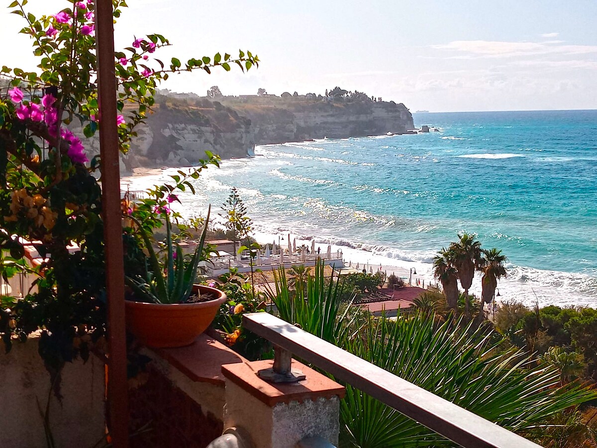 An expansive view of the coastline, showcasing gently rolling waves meeting the sandy shore. Lush, green plants and colorful flowers in a terracotta pot frame the scene, while the sun illuminates the turquoise waters and distant cliffs under a clear blue sky.