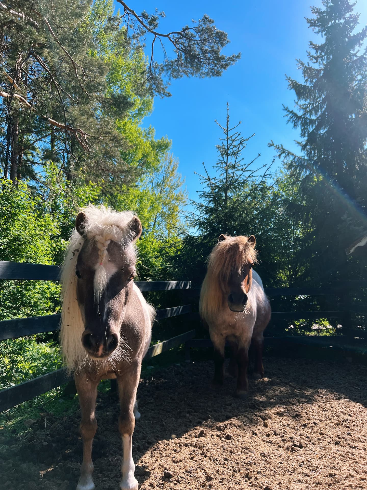 Elämys Yöpyminen Lillewillassa 4
