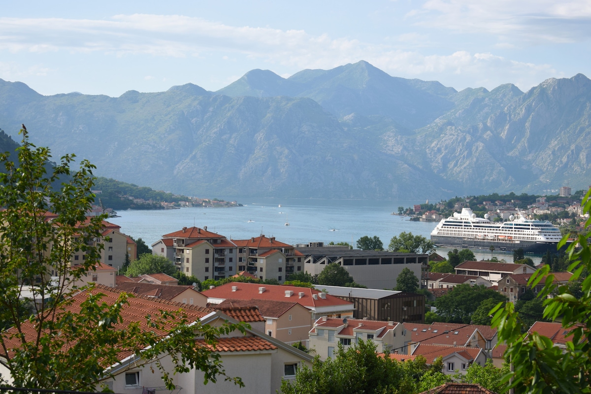 A panoramic view showcases the bay surrounded by mountains, with a mix of residential buildings featuring red-tiled roofs in the foreground. A cruise ship is visible in the water, presenting a serene coastal scene under a partly cloudy sky.