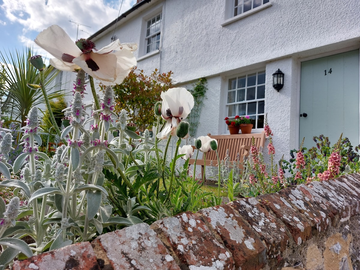 A charming garden is featured in front of a white cottage, showcasing an array of flowers including white poppies and pink flowering plants. A wooden bench is positioned beside the garden, complemented by potted plants on the cottage's entrance, creating a welcoming appearance.