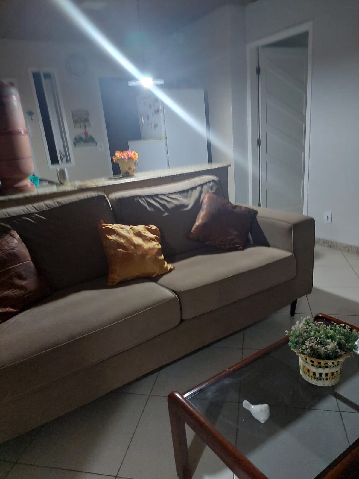 A comfortable living area showcases a brown sofa adorned with colorful cushions. A wooden coffee table supports a small potted plant. In the background, the kitchen area is visible, featuring a bar counter and warm lighting, contributing to a cozy ambiance.