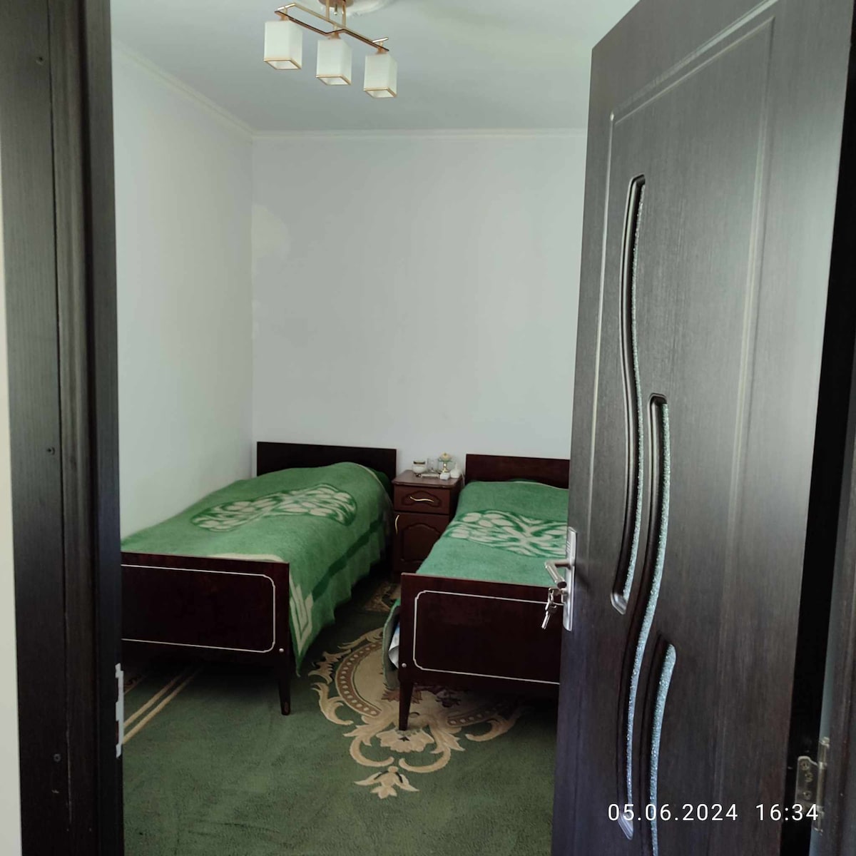 A simple room is accessed through a stylish door. Two twin beds are dressed in green bedspreads, positioned parallel to each other. A small nightstand sits between the beds, and the patterned carpet adds warmth to the space.