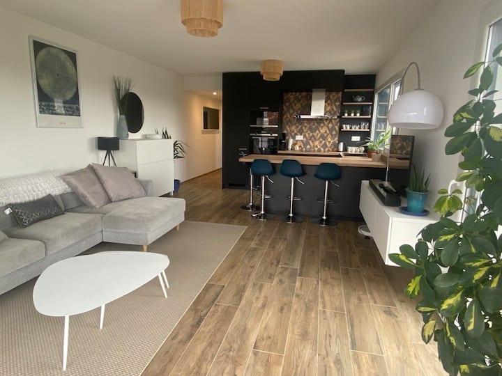 Luxury Apartment On Swiss Border - Basilea
