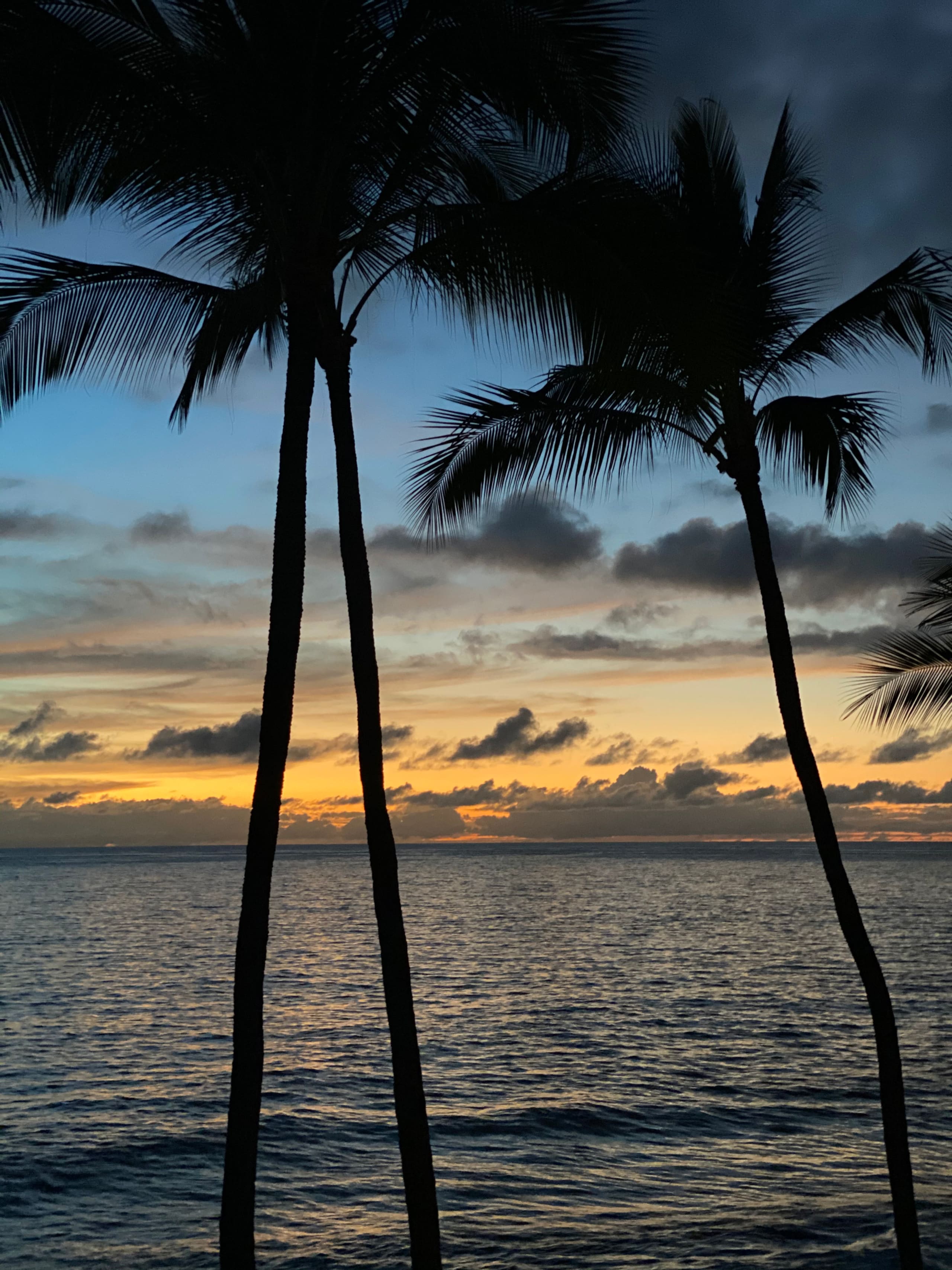 Kona Oceanfront Studio  #311 WITH LANAI and  A/C!! - Image 19