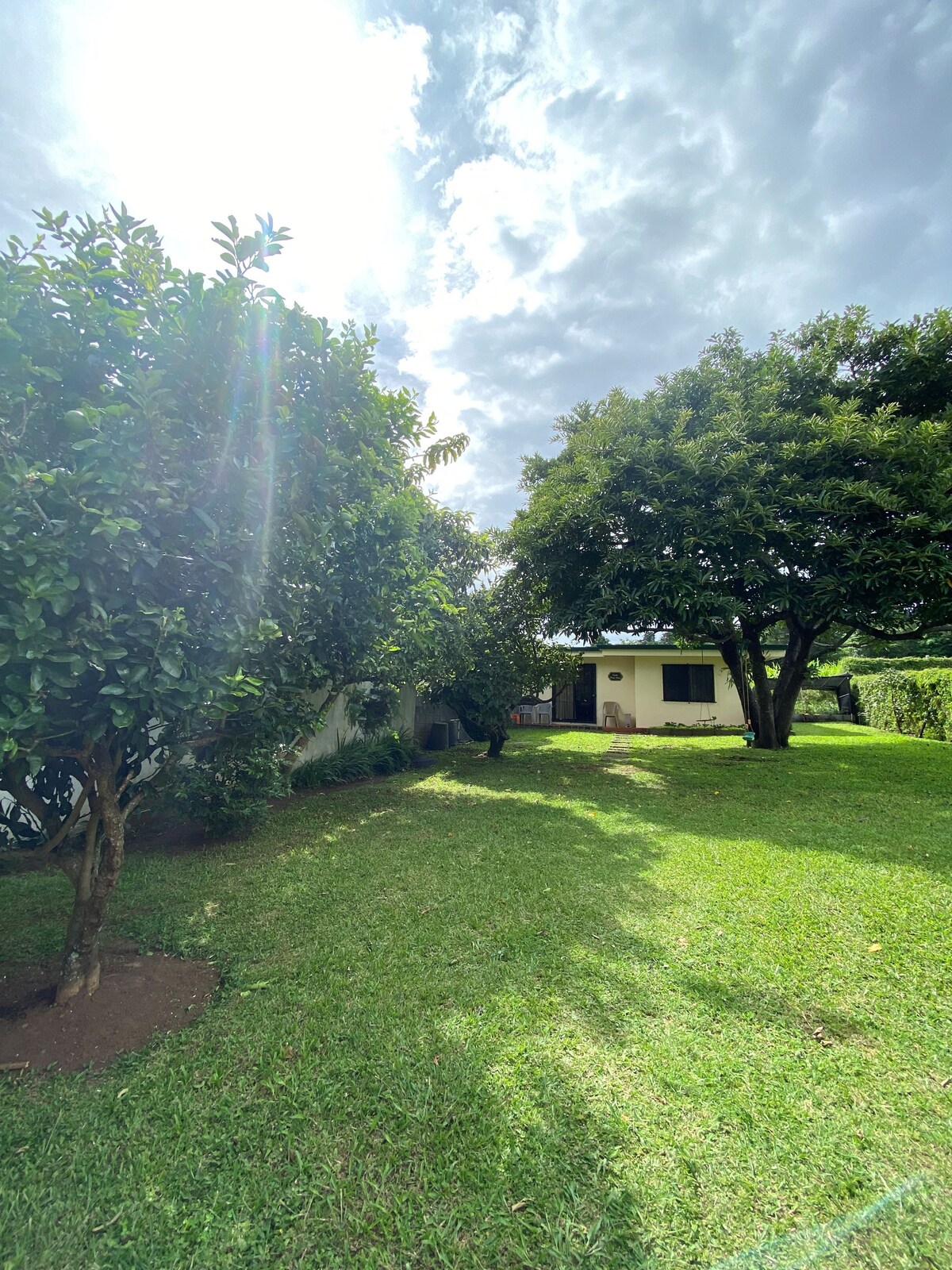 A vibrant green lawn is surrounded by various trees, creating a lush environment. The cottage is visible in the background, featuring a simple façade with windows. Natural light filters through the clouds above, enhancing the serene and peaceful setting.