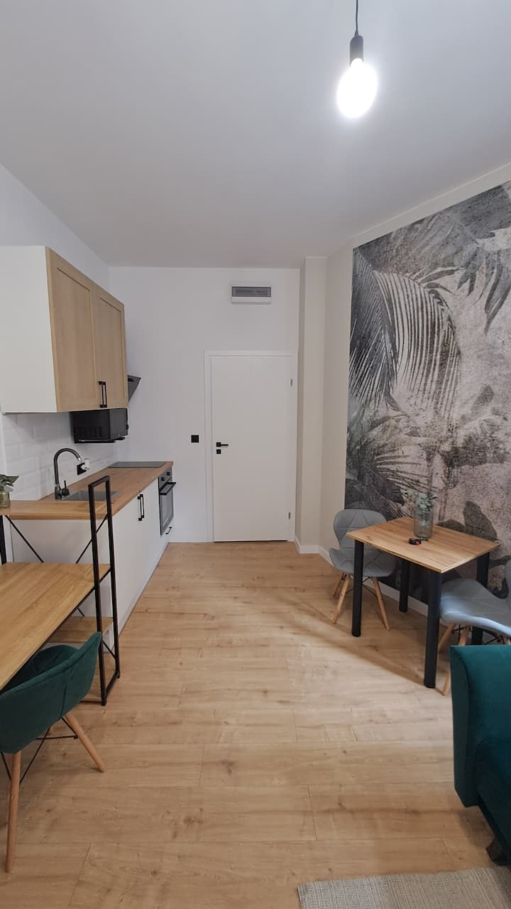 Mini Apartment Poznan Lazarz - Poznań