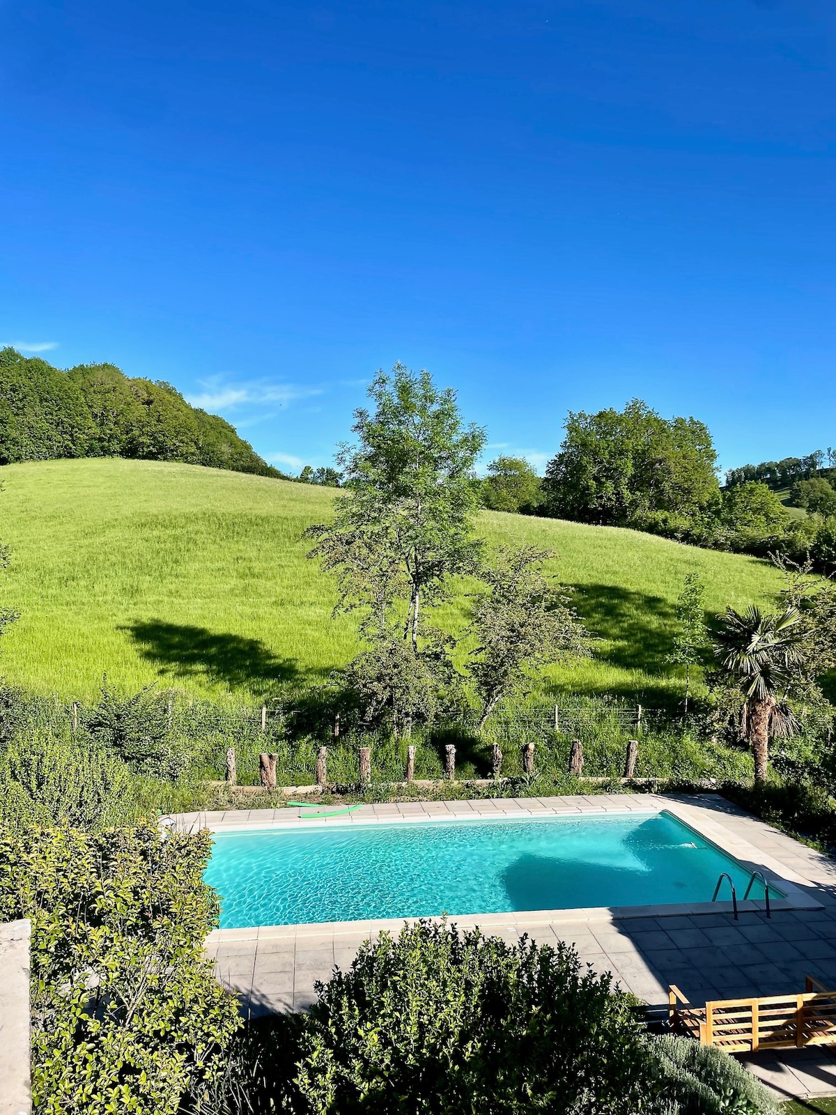 A clear blue sky contrasts with vibrant green hills, creating a serene countryside backdrop. The outdoor swimming pool, set with a tiled deck, glistens in the sunlight. Lush greenery and trees surround the area, providing a tranquil atmosphere for relaxation.