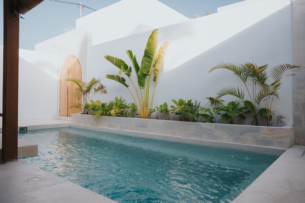 Brandon Villa - Stylish Villa in Heart of Lovina photo 6