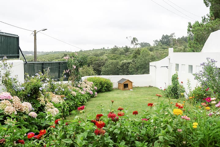 listing_image