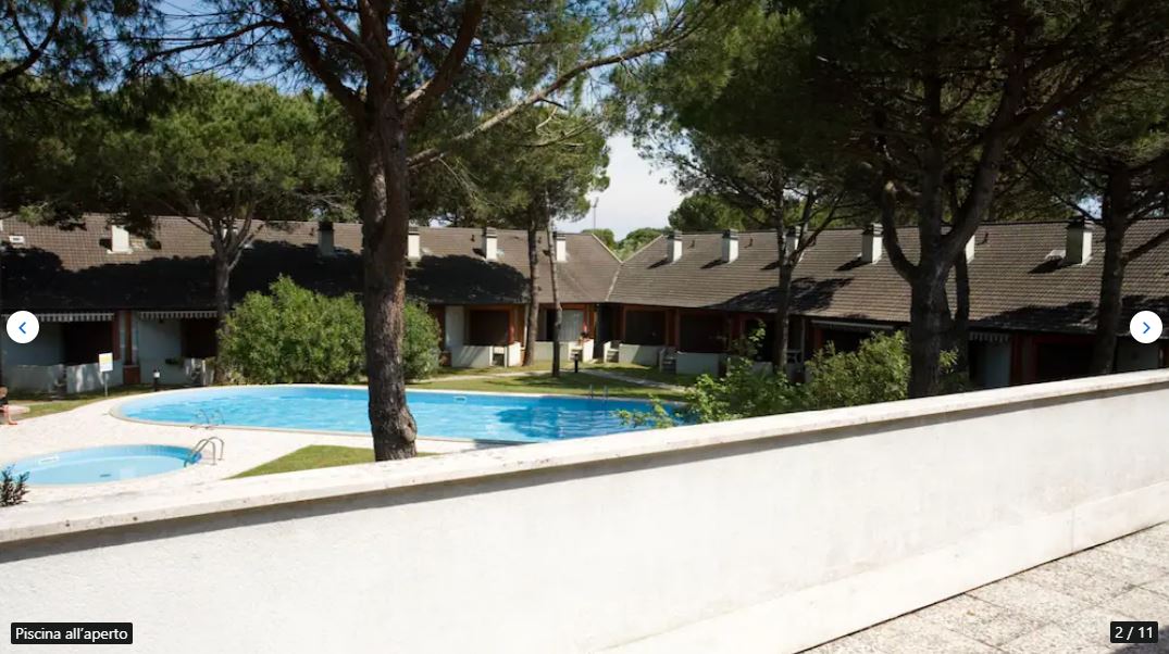 A tranquil outdoor swimming pool is surrounded by a well-maintained green area featuring tall, leafy trees. Low-rise buildings with covered patios are visible, providing a relaxed ambiance. The pool area includes loungers, inviting for leisure and enjoyment under the sun.