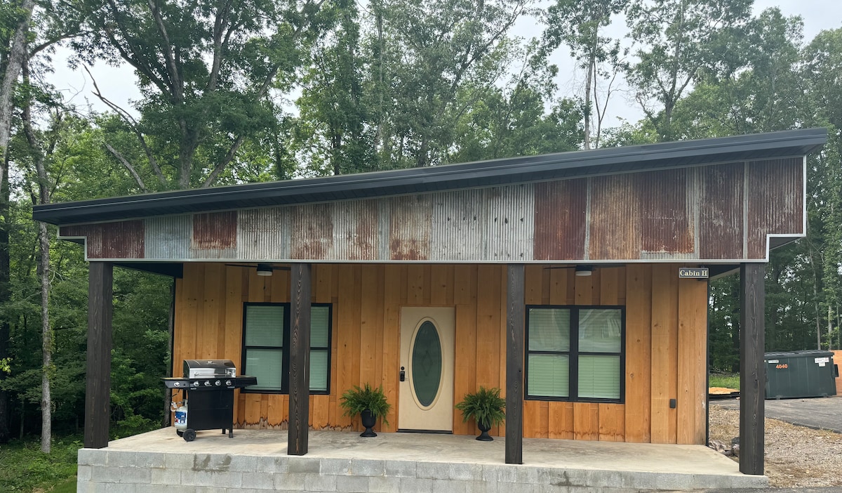 The cabin exterior features a blend of natural wood and corrugated metal siding. A front porch is adorned with two potted plants, and a barbecue grill is positioned to one side. Large windows allow for natural light to enhance the entrance.