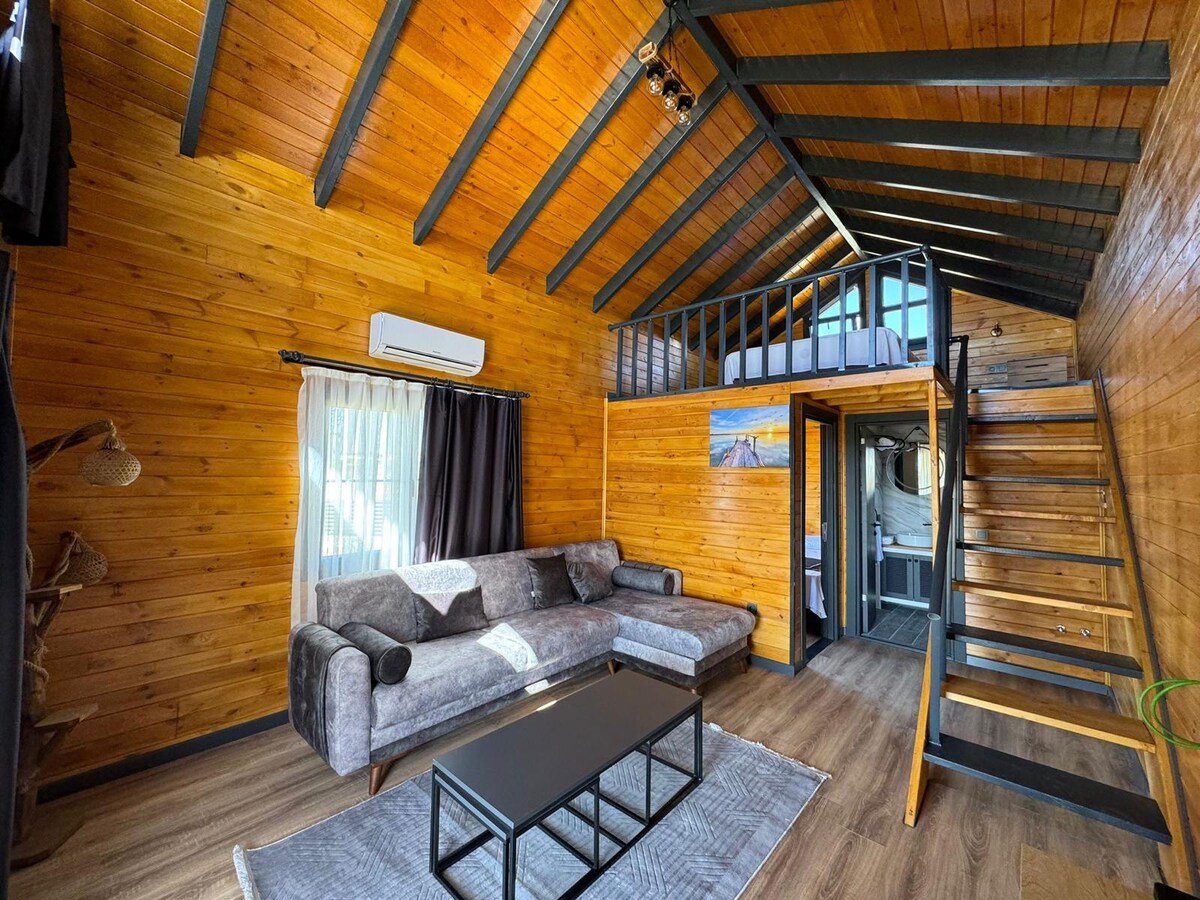 A wooden interior is highlighted by high ceilings and exposed beams. A comfortable sofa sits across from a sleek coffee table, with natural light entering through the window. A staircase leads to a lofted sleeping area, enhancing the space's openness and warmth.