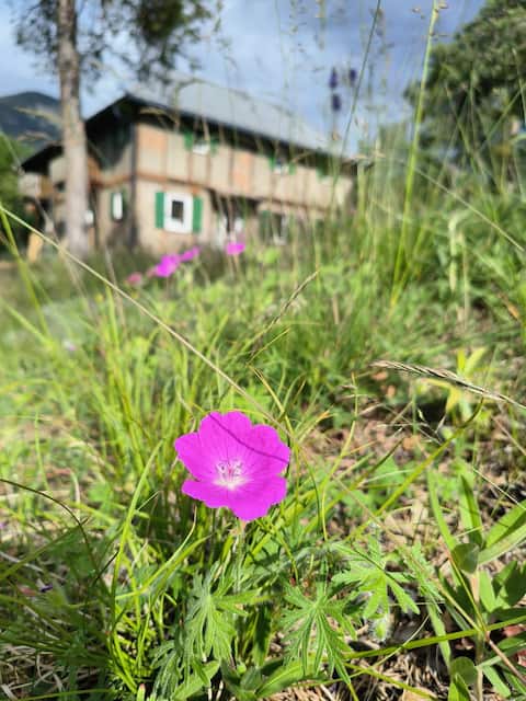 Ô Bercail Low Mountain Cottage 7 minutes from Vercorin
