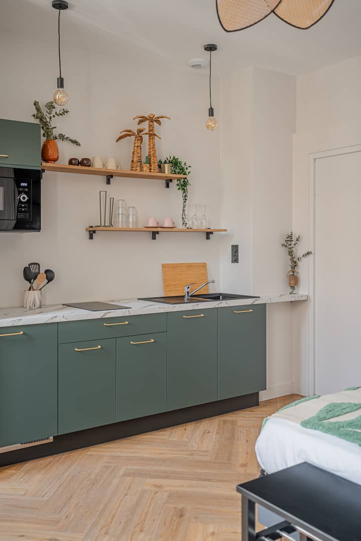 Le Félix Appart'hotel ~ Studio 002 - Romans-sur-Isère