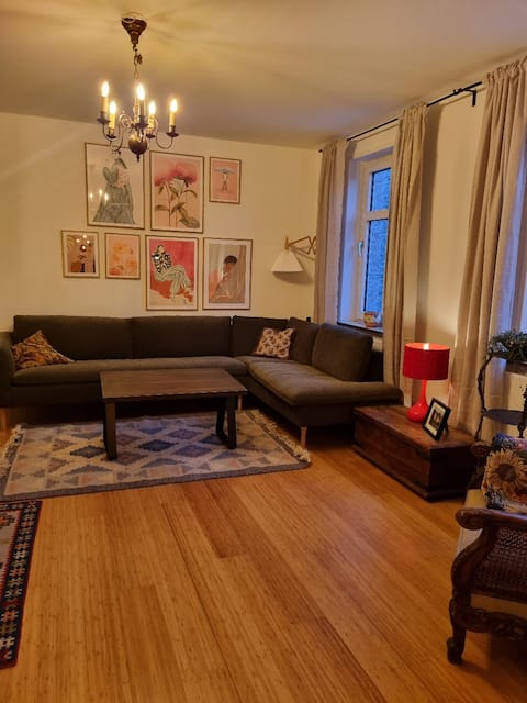 Nice central apartment, free parking