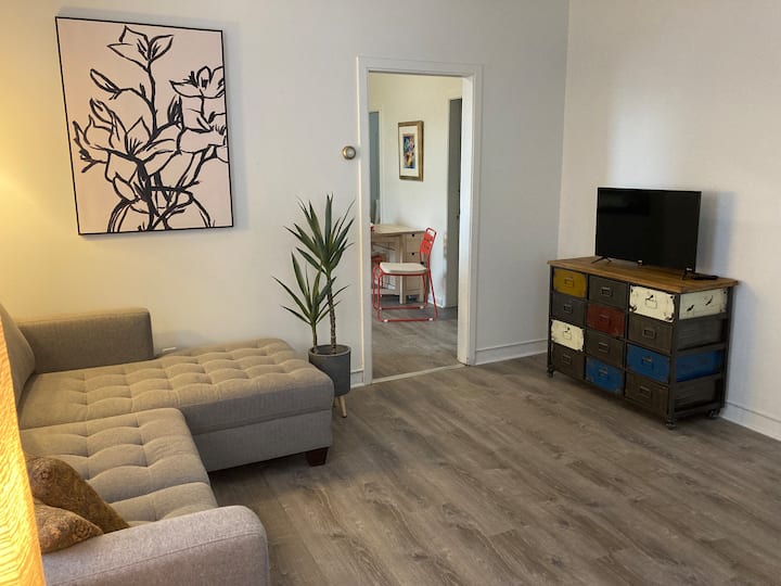 Charming Uptown Butte Home Houses for Rent in Butte, Montana, United