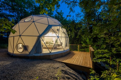 The Nest at Bellevue