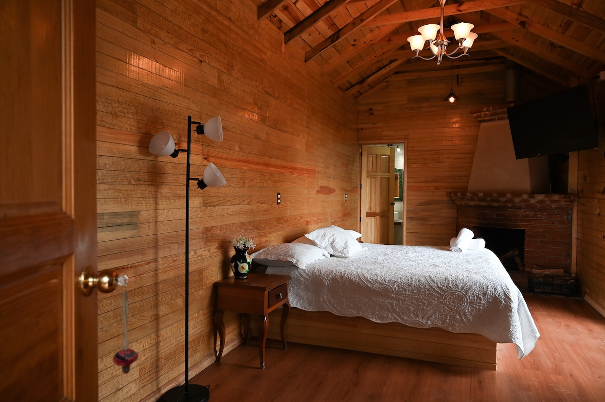 A wooden-walled bedroom features a spacious bed with a white blanket and two bedside tables. A standing lamp and a cozy corner fireplace are present. Natural light fills the room from an overhead chandelier, while a TV is mounted on the wall opposite the bed.