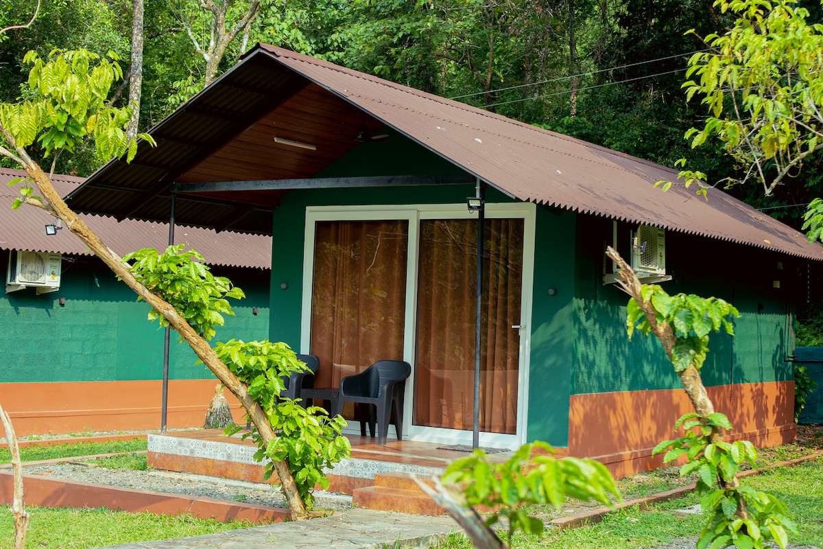 A green cottage features a sloped roof and a welcoming porch, which is furnished with two black chairs. Lush greenery surrounds the cottage, creating an inviting natural atmosphere.