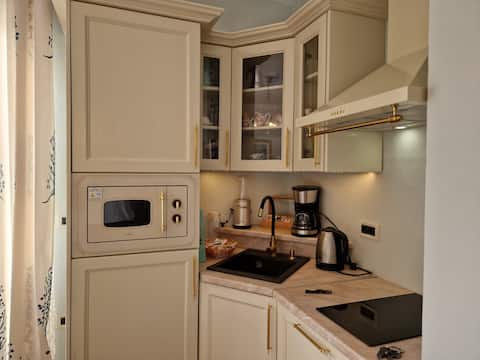 Successful Airbnb property: Studio apartment Daniele in Općina Vižinada