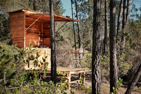 Top Airbnb: Star Dome in Rogil