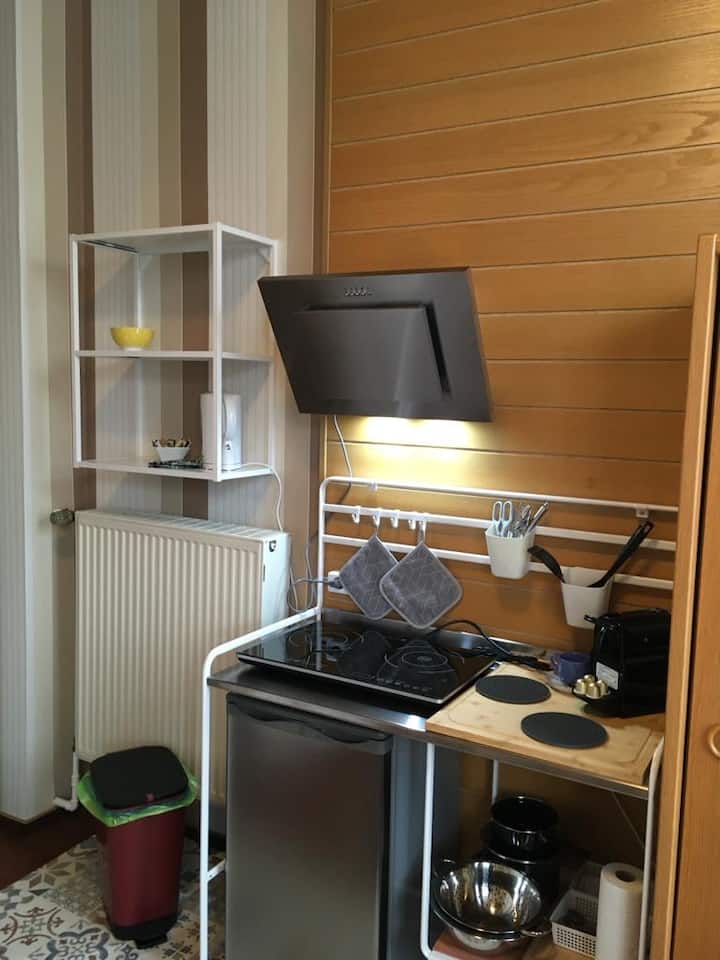 Apartment Im Villenviertel - Bonn