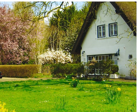 The old forester's house