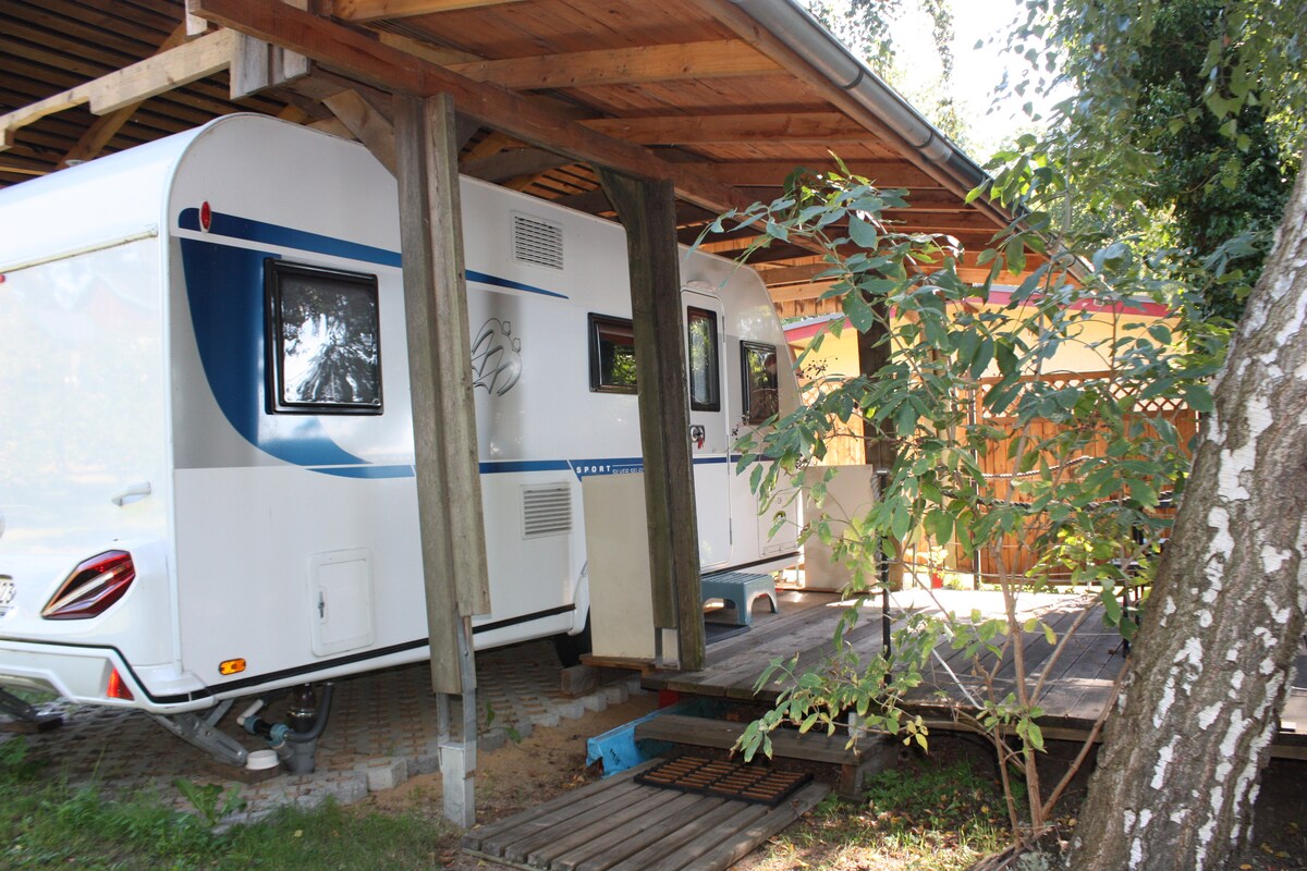 A stylish caravan is positioned under a wooden shelter, surrounded by greenery. The entrance features a small deck leading up, while the structural elements provide a sense of shelter and comfort. The outdoor space is enhanced by the natural setting and nearby trees.