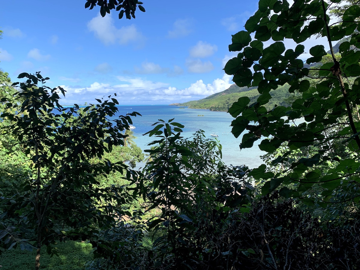 موقع الخيمة لمقعدين
دش داخلي 10 لتر/شخص
مرحاض جاف مشترك