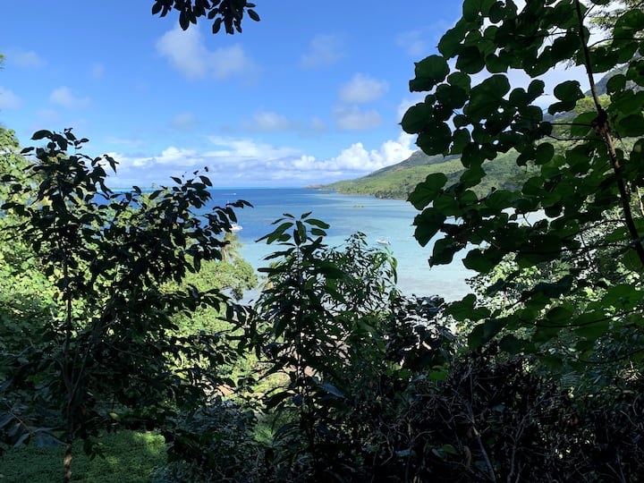 Bora Eco Camp
Cabane 1 - Bora-Bora