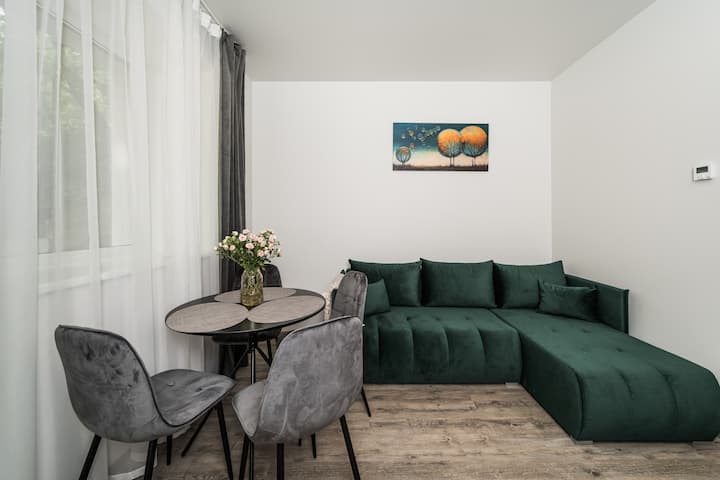 Riverra House - Apartment No2 - Kaunas
