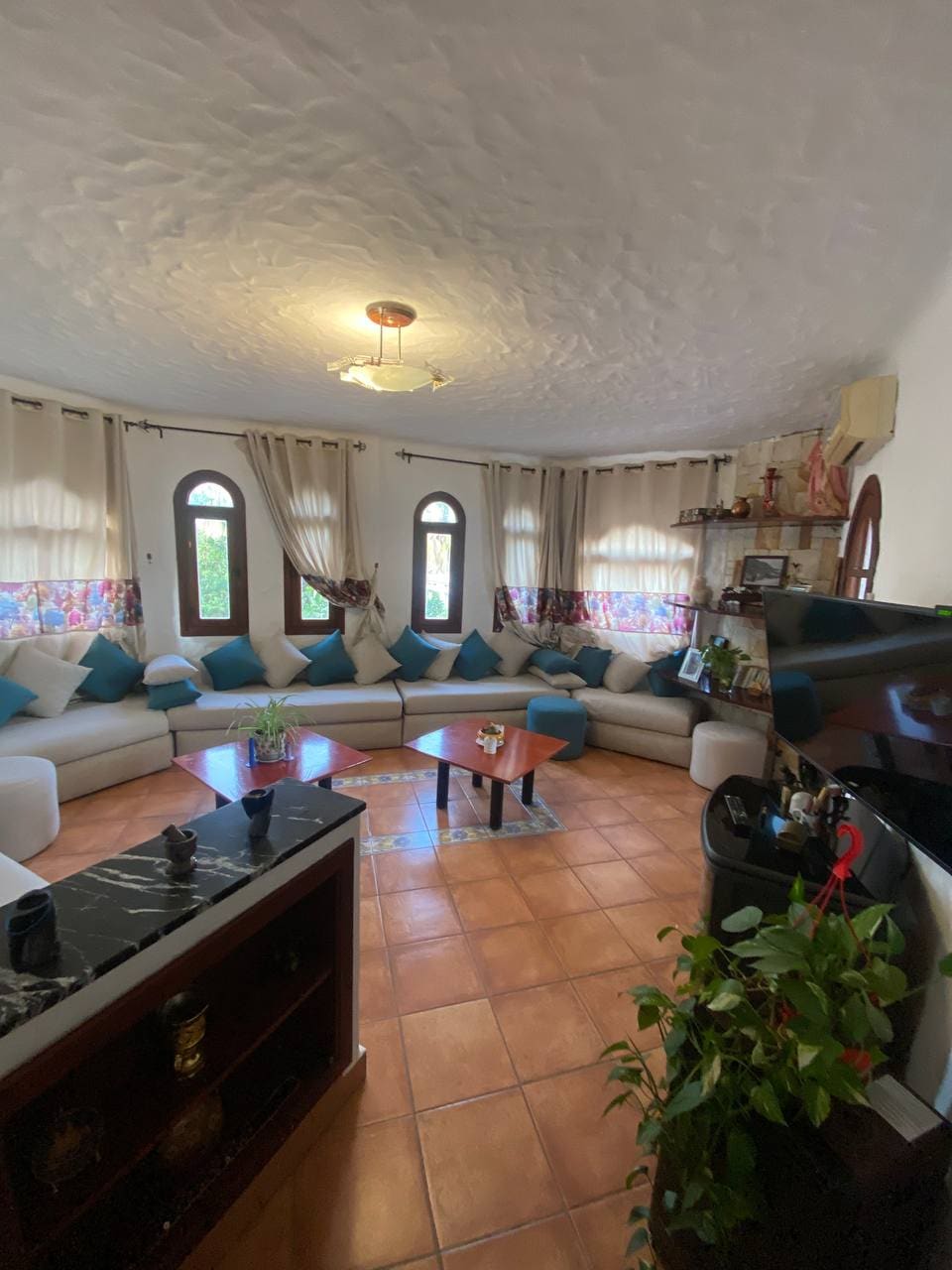 A spacious living room is highlighted by a large, curved sectional sofa adorned with blue cushions. Natural light filters through arched windows, enhancing the warm ambience. A wooden coffee table sits at the center, with greenery from a nearby plant adding a touch of nature.