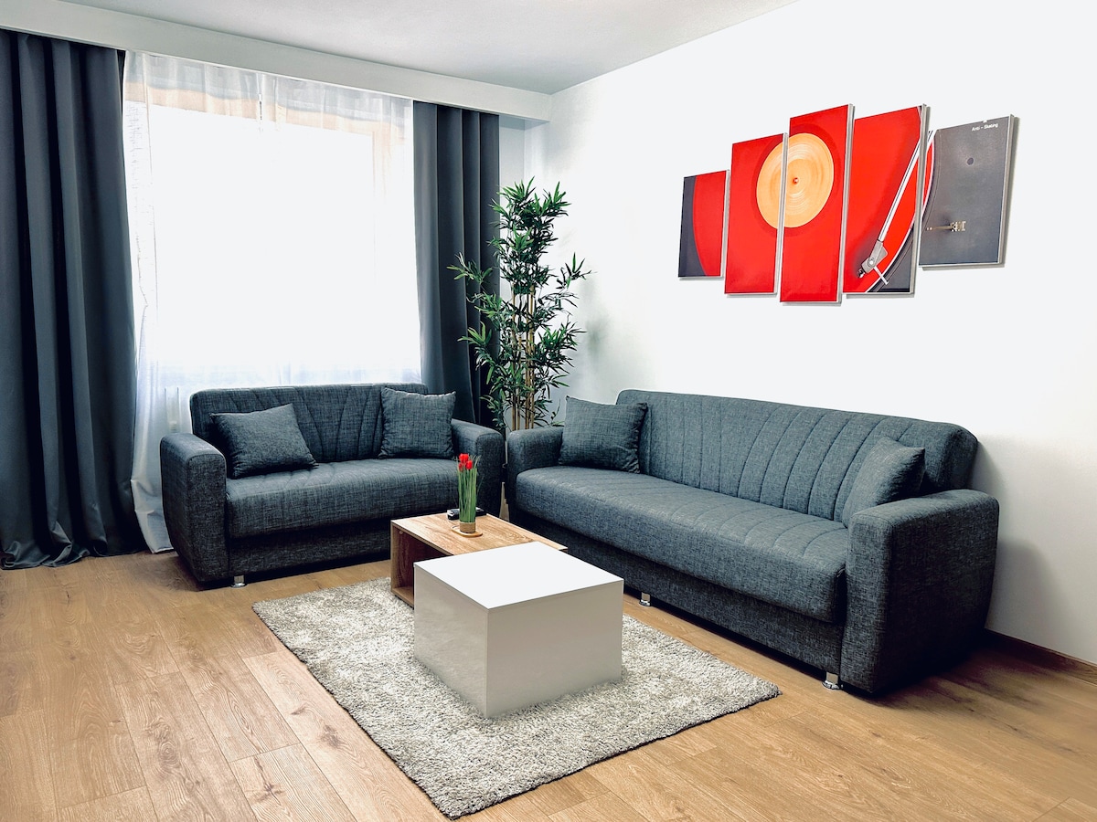 The living area features two gray sofas positioned around a minimalist white coffee table, sitting on a soft area rug. A decorative plant adds a touch of greenery, while the wall is adorned with vibrant artwork. Natural light filters in through the draped window.