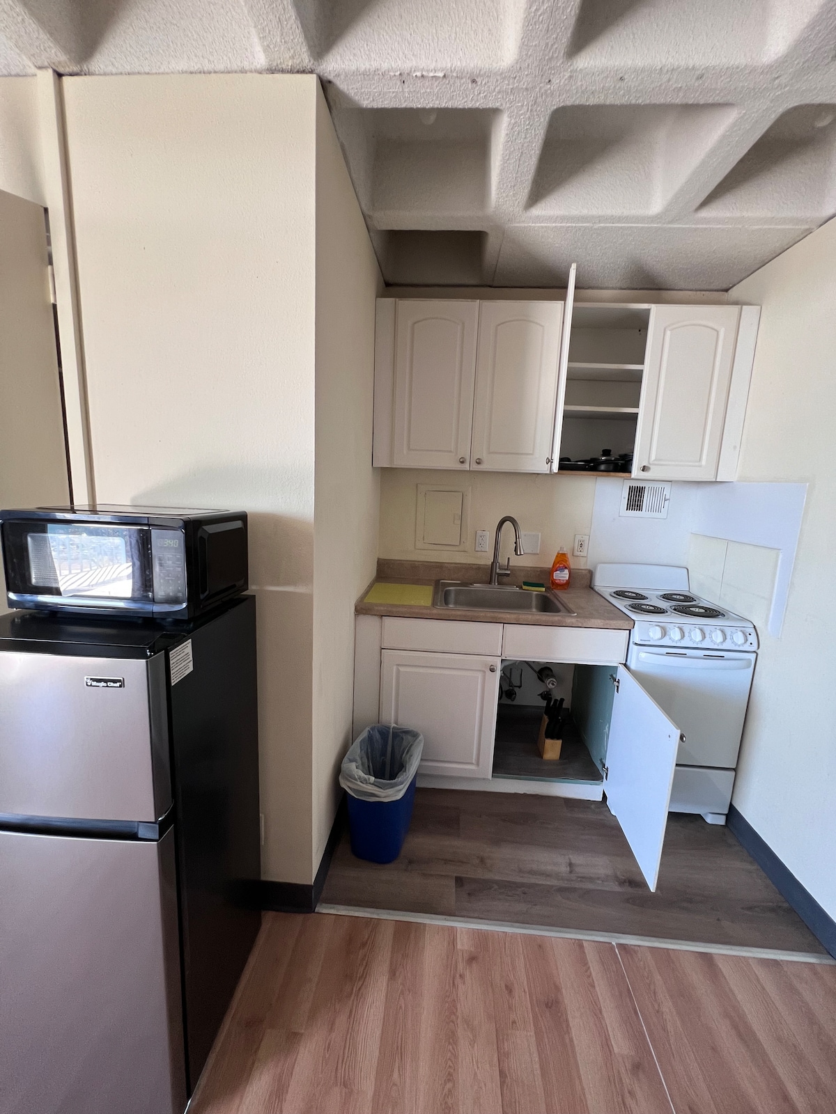 The kitchen area features essential appliances including a compact microwave and refrigerator. A small stovetop and sink are positioned within white cabinetry. The design promotes efficient use of space, with light wood flooring contributing to a clean and functional environment.