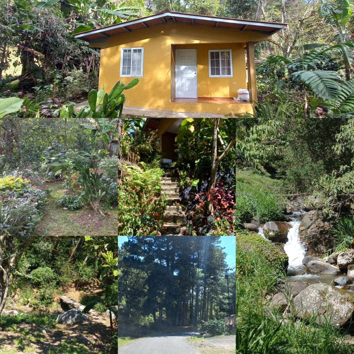 A cozy yellow house is nestled among lush greenery, complemented by vibrant tropical plants. A stone pathway leads from the house through a natural garden setting. In the distance, a gently flowing stream adds to the serene ambiance of the surrounding landscape.