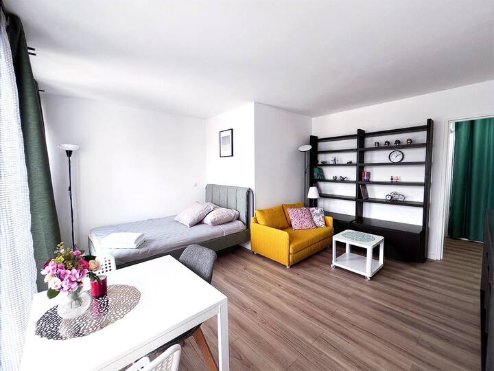 Comfortable Air-conditioned Studio In Paris 15th - 8. Arrondissement