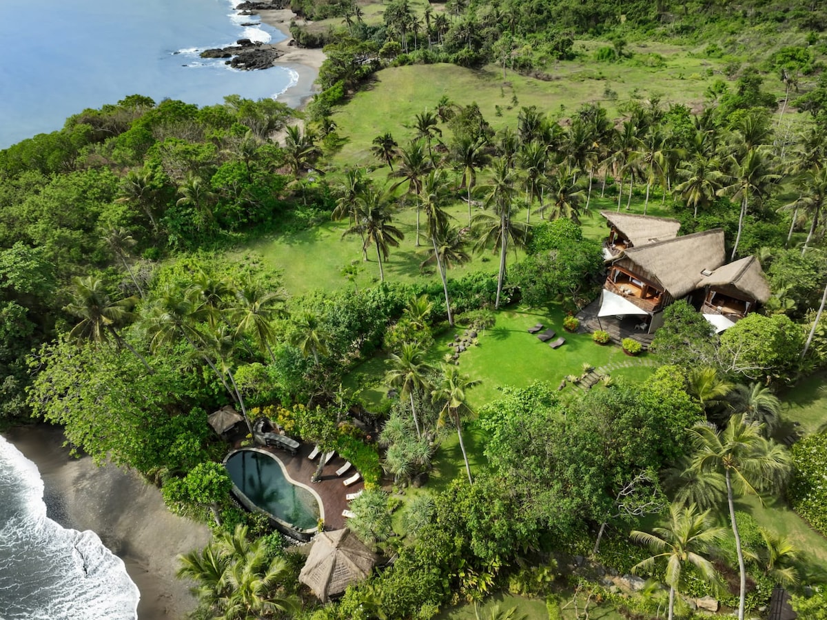 An aerial view showcases the property nestled among lush greenery, with the infinity pool bordered by sun loungers nearby. Surrounding palm trees frame the private beach area, creating a serene atmosphere with the ocean in the distance.