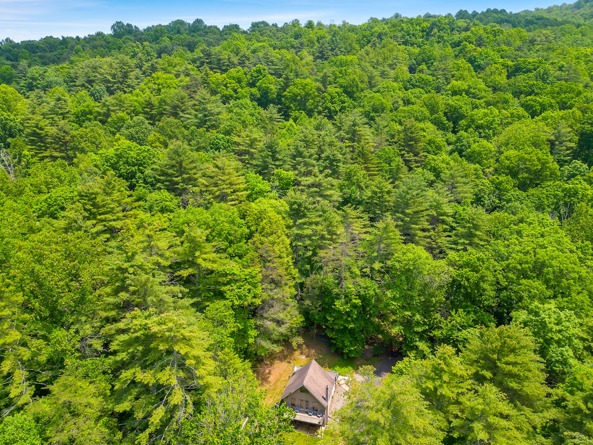An aerial view captures a cozy chalet nestled among a lush expanse of green trees in the Blue Ridge Mountains. The surrounding forest provides a tranquil setting, while the gentle slopes suggest a tranquil retreat in nature.