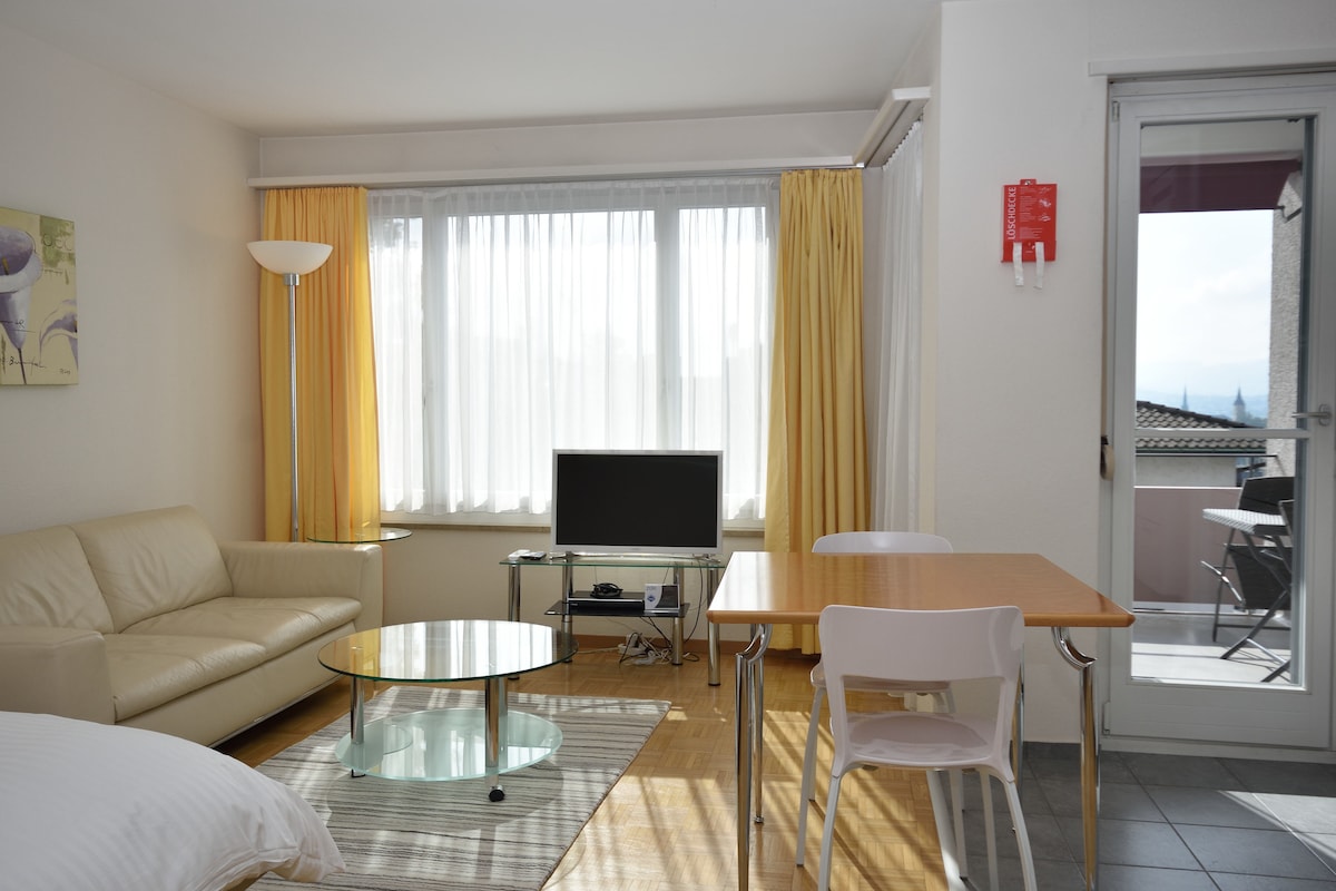 Popular Airbnb listing: Very central & bright studio (Vineyard 51) in Unterstrass